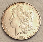 1880 O MICRO O MORGAN DOLLAR! INCREDIBLE SAF Overdate Breen 5541