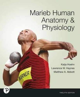 #ad #ad Marieb Human Anatomy amp; Physiology 12th Hardcover by Katja Hoehn New h $230.28