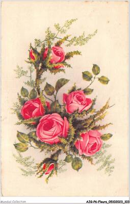AJGP6-0563 - BLUME - PINK