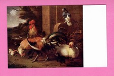 ROOSTER CHICKEN AND PIGEON VINTAGE POSTCARD 7...