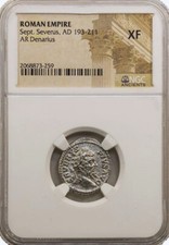  on The Hot Collector