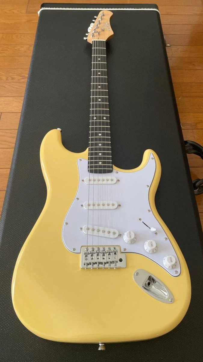 How Much Does an Electric Guitar Neck Cost