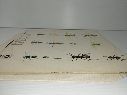 Barrett Syd Barrett LP 33 Giri EMI Harvest LEGGI DESCRIZIONE - Foto 10 di 12
