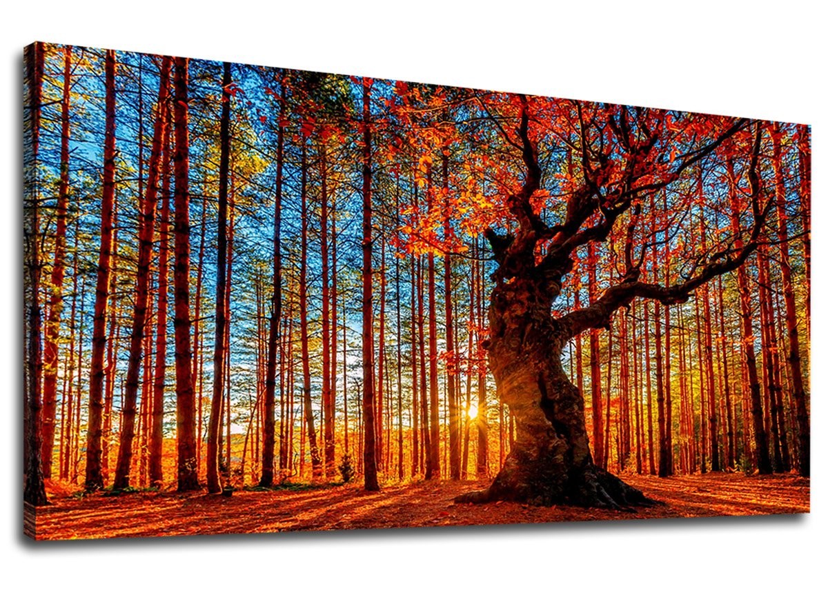 Large Forest Wall Art Forest Sunset Canvas Pictures Red Leaf Trees