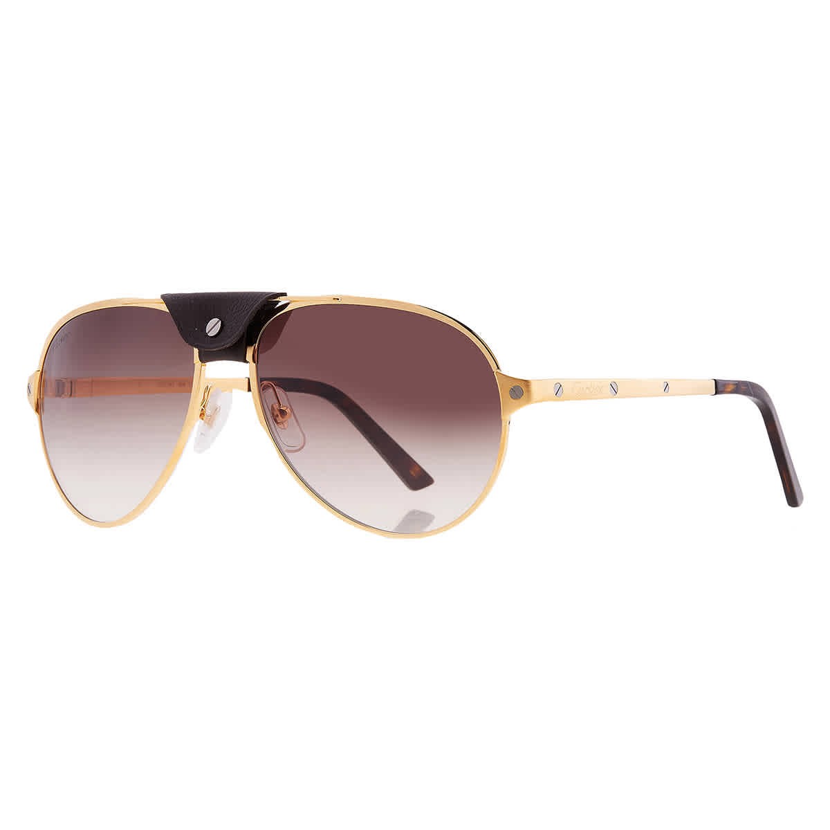 Cartier Santos de Cartier Brown Gradient Pilot Men display picture 1