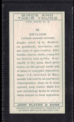 SKYLARK (FEMALE) - 80 + year old English Tobacco Card # 18