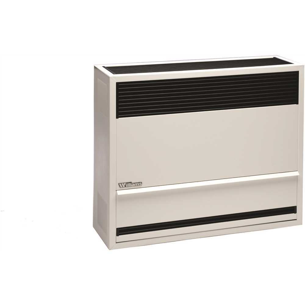 30,000 BTUH 66% AFUE Direct-Vent Propane Gas Gravity Wall Heater