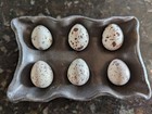 18 Gambel’s Quail Hatching Eggs – Farm fresh + tested fertile — photo 2