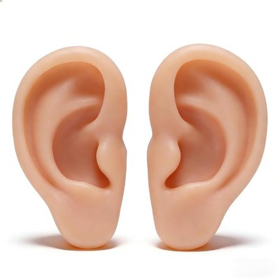 Silicone Ear Model 1 Pair Soft Model, Human Flexible Fake Ear... 