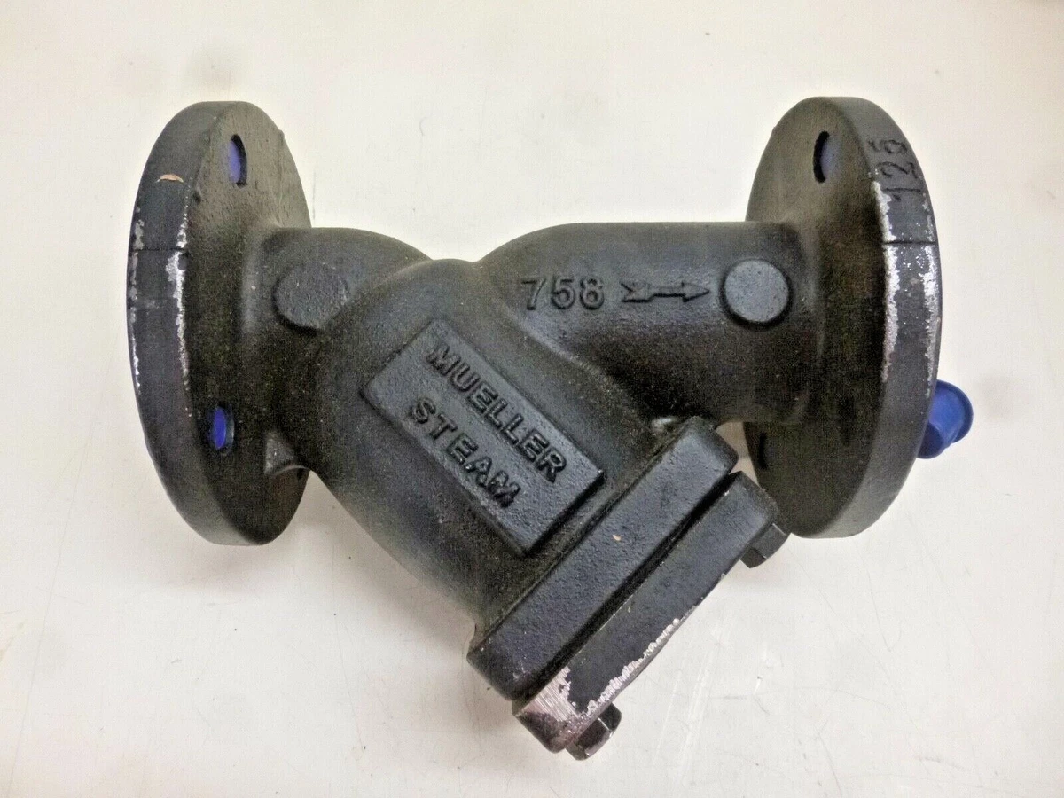 Mueller 758 Inch Cast Iron Flanged End Y Strainer IMS
