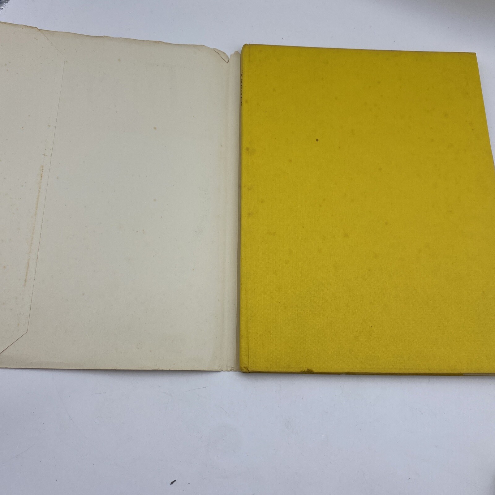 Turner Express Art Book John Rothenstein 1960 Beaverbrook Newspaper 1st