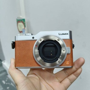 GF 9 Panasonic | eBay