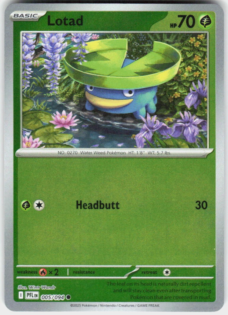 Lotad Common ME02: Phantasmal Flames 005/094 NM