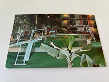 Tropical Garden Pool Continental Inn Lexington Kentucky Postcard