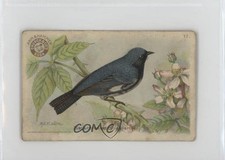1922 Dwight's Soda Useful Birds of America Series 3 #17 0l4h