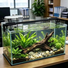 Vimvins 10 Gallon Glass Fish Tank, Easy to Maintain Small Aquarium for Betta/...