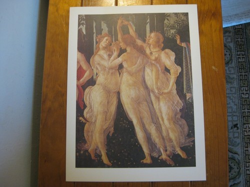 Vintage PHOTOCROME Print M.P. 576 (Botticelli)Les Graces - Italy Uffizi Gallery - Picture 2 of 7