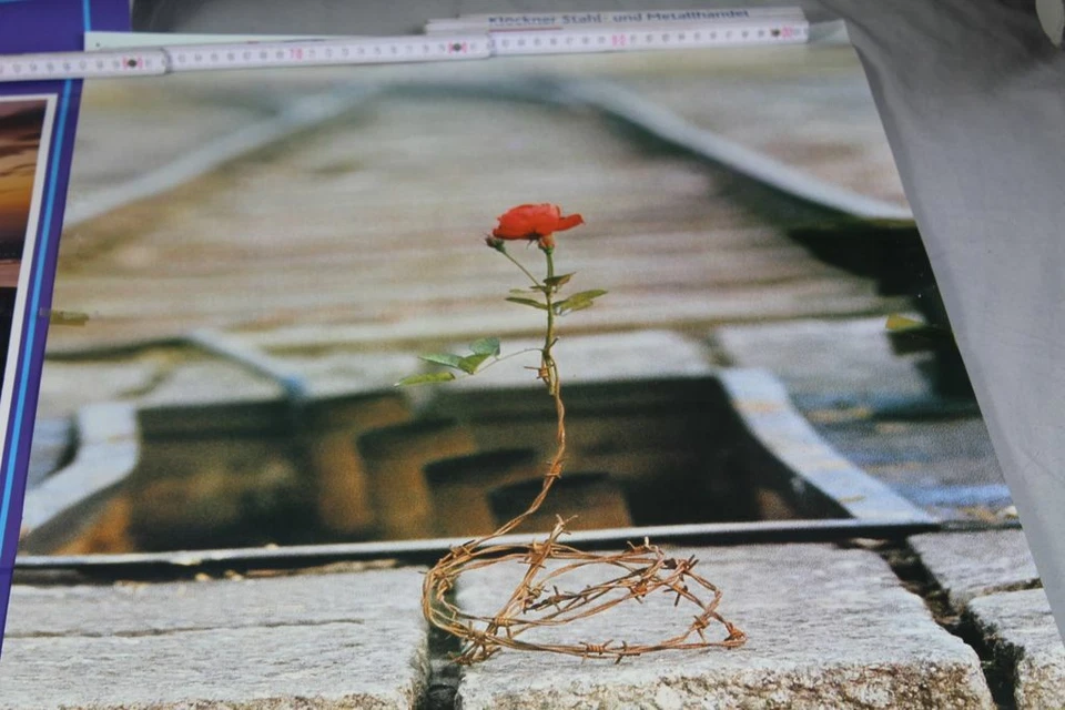 A4/ 2 Poster New York Verkerke + Rose on Wall with Barbed Wire - up to 93x62 /K4 - Image 3 of 4