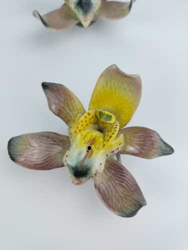 Vintage DARBYSHIRE WARE Orchid Salt & Pepper Shakers WEST AUSTRALIAN POTTERY - Picture 6 of 17