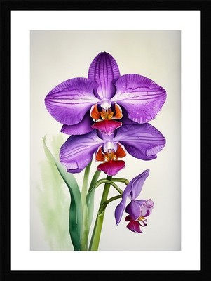 Modern Orchid Framed Wall Art Poster Canvas Print Picture