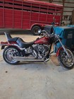 2009 Harley Davidson Softail
