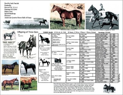 Three Bars Famous Foundation Racing Quarter horse picture pedigree 11 by 8.5