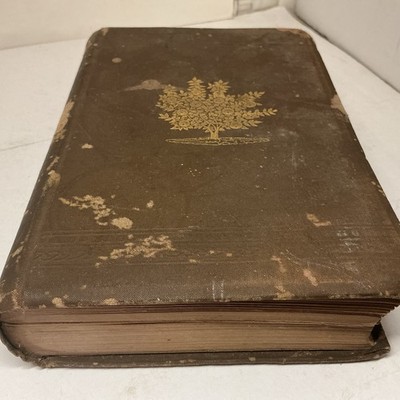 HC Barry s Fruit Garden  by P Barry 1888 New Edit  Orange Judd Co.  Illustrated