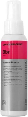 (139,00 /L) Koch Chemie - Blossom Breeze Bbr Lufterfrischer Innenraumspray 100ml