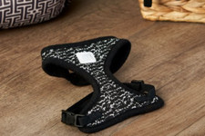 Vibrant Life Harness and Leash for Cats, One Size