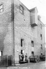 hmm-61 Milk Factory, Stalbridge nr Sturminster Newton, Dorset 1911. Photo