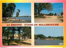 Carte Postale - 36 - Indre - La Brenne - Etang de Bellebouche - Multivues - CPM