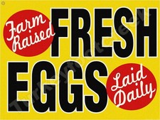 Farm Raised Fresh Eggs 9" x 12" Metal Sign