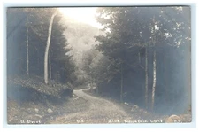 1904-18 A Drive Dirt Road Blue Mountain Lake NY, New York RPPC E.E. Kellogg