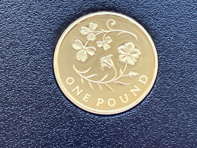 Simply Coins PROOF COIN FLORAL NORTHERN IRELAND 2014 1 POUND