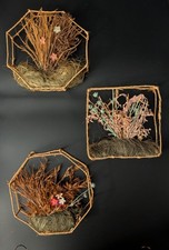 Set of 3 Dried Flowers  Grass Wall Hanging Decor - Woven Twig Frames