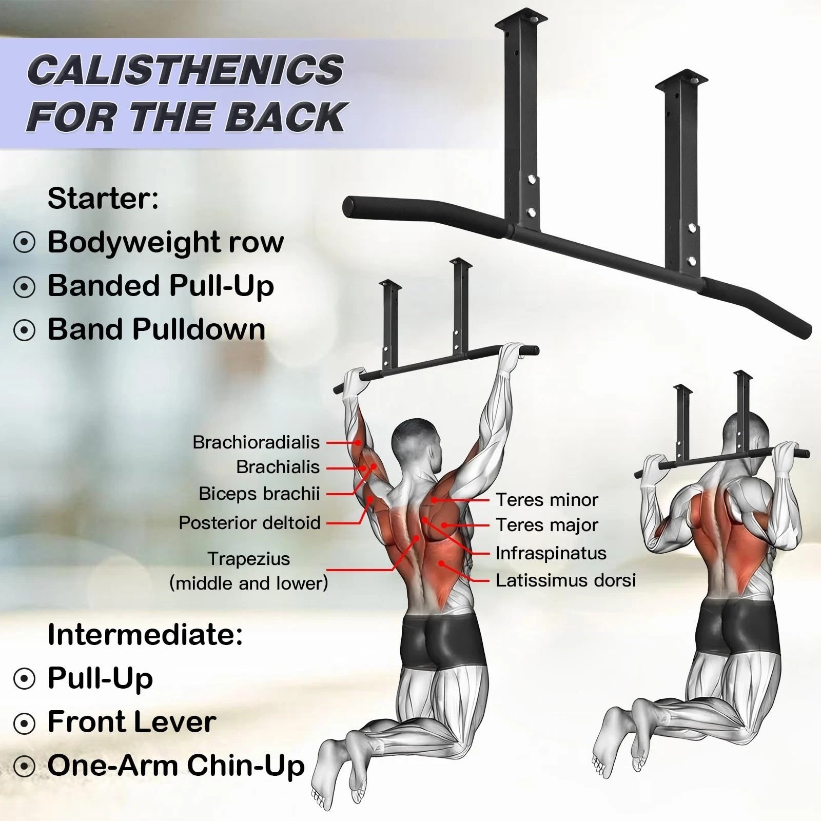 Multifunctional Pull Up Bar for Ceiling or Beam Mount – Heavy Duty Home Gym