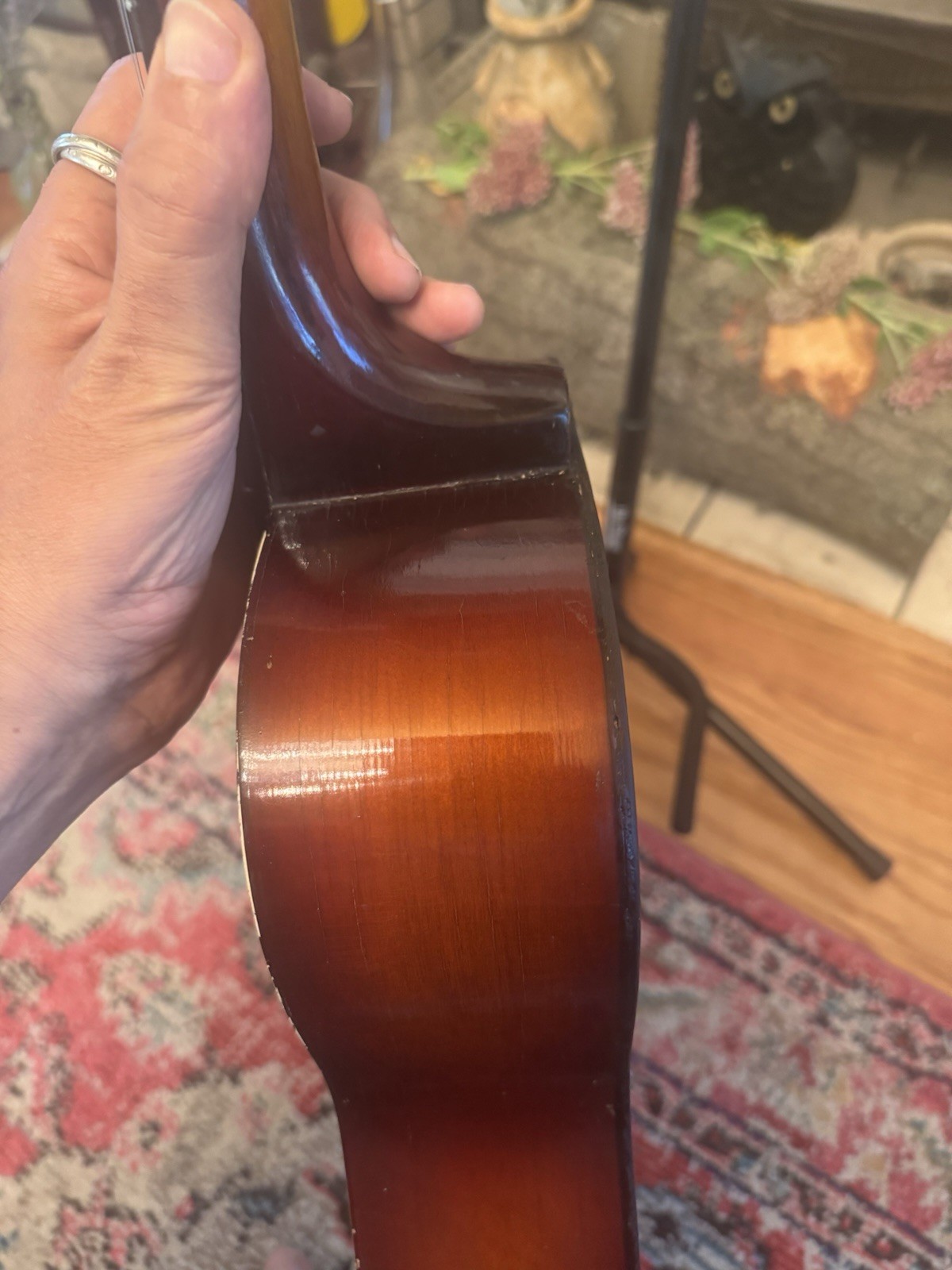 Vintage 1964 Gallotone (John Lennon) Acoustic Guitar, Restored, S.African Beauty