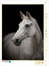 CALVENDO Puzzle Holsteiner 1000 Teile Lege-Gr e 64x48cm Foto-Puzzle f r gl ck
