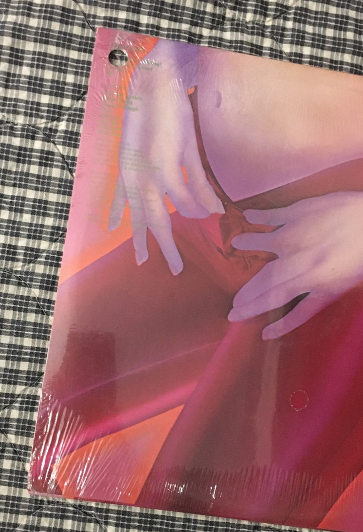 HERMAN BROOD & HIS WILD ROMANCE Self-titled Vinyl LP SW 50059 SEALED