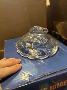 Glass Turtles