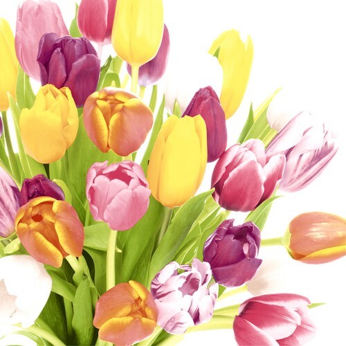 20 Servietten Beautiful Tulips Tulpen Blumen Garten FrüHling Rosa Gelb 33X33Cm-image