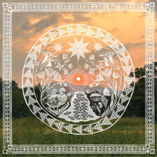 Daniel Bachman When the Roses Come Again (Vinyl LP) 12" Album