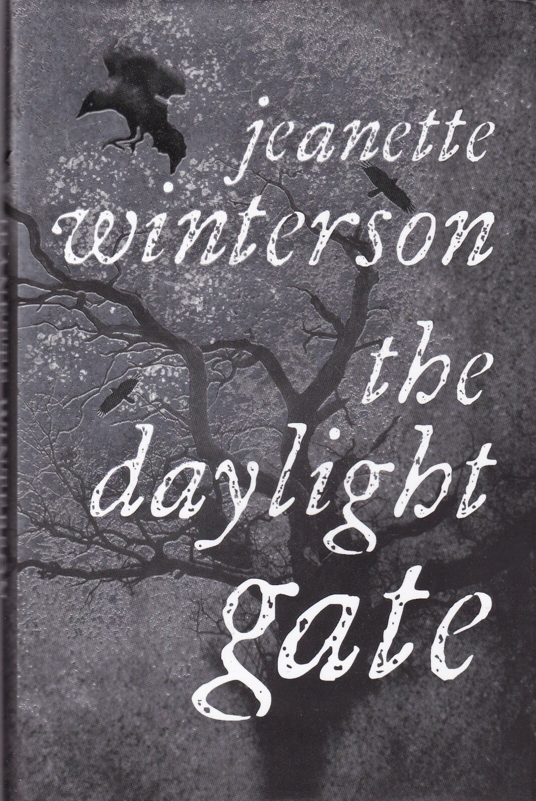 Jeanette Winterson The Daylight Gate Book NEW Hardcover