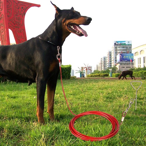 Large Dog Tie Out Cable Trolley Heavy Duty 10 Feet 15 Foot 32ft Blue Red Black - Picture 10 of 15