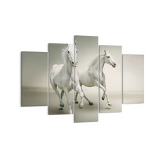 Quadro su Tela 150x100cm Animali arabo cavallo fattoria Stampe Immagini Murale