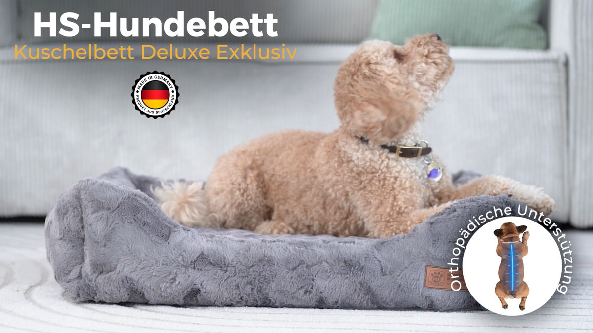 hundefutter pure nature Trockenfutter CountryBeef für Deinen Hund kaufen main image 0