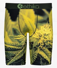 Mens Ethika "Green Haze" Staple Boxer Briefs SIZE LARGE