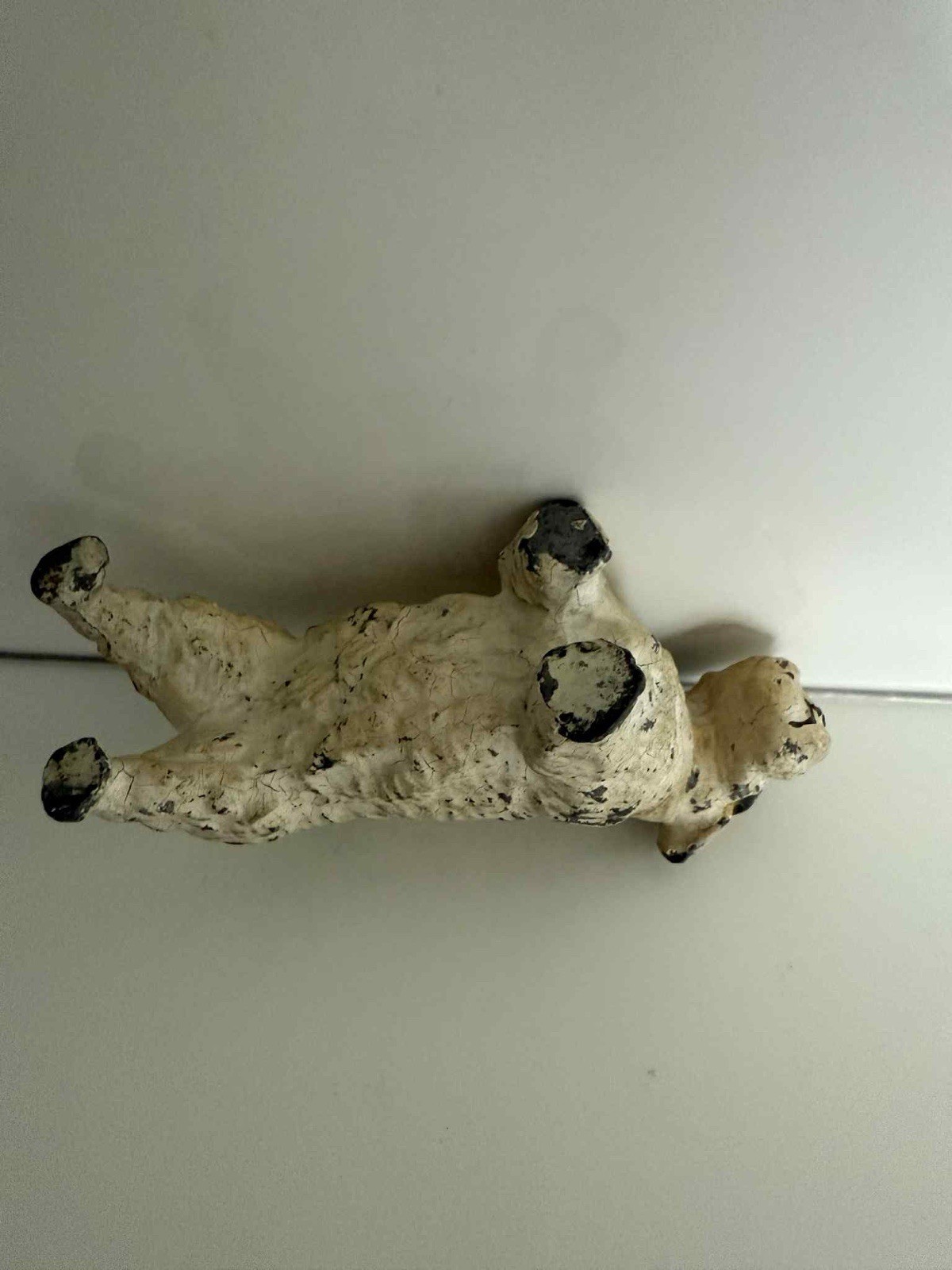 Picture 6 of 11