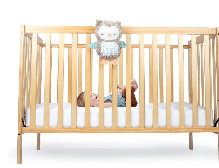 Ingenuity PLUSH soothing Toy snuggle Sounds NALLY NEW bluetooth owl 0+ baby