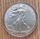 2013 1 oz Silver American Eagle - Uncirculated Perfect Condition          (2009)